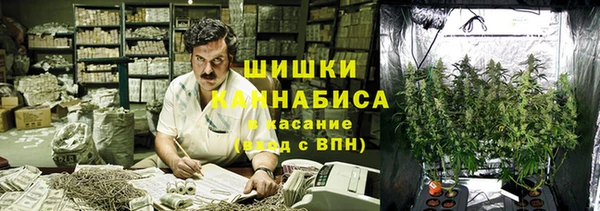гашик Алексеевка