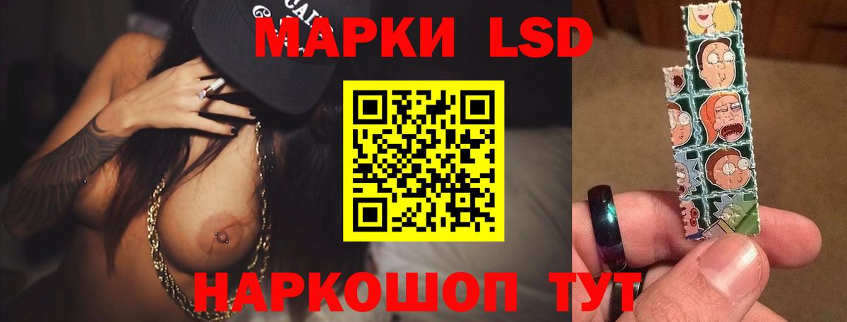   маркетплейс  Вход с VPN  Туймазы  ЛСД экстази кислота  ЛСД экстази кислота 